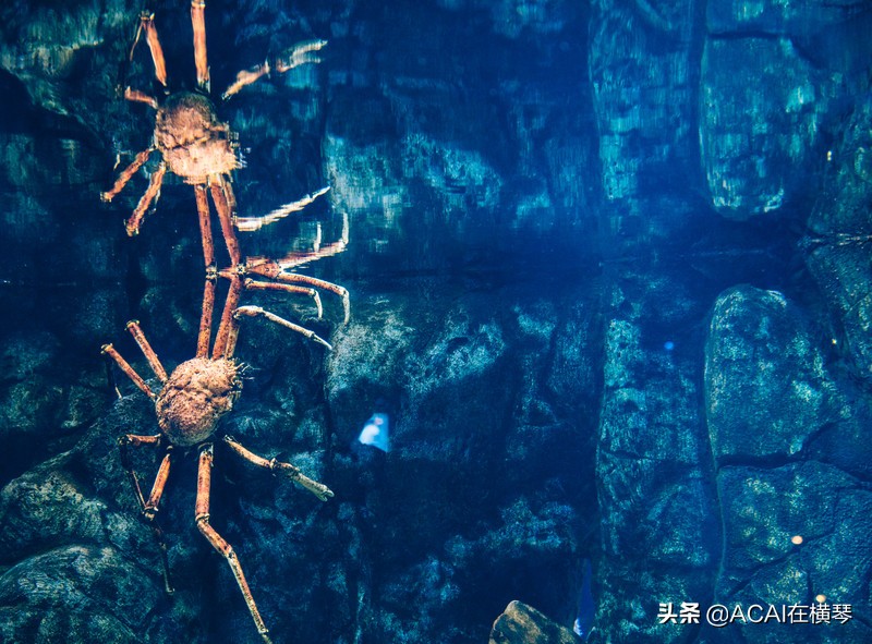 吃喝玩乐in珠海,珠海吃喝玩乐一体的地方