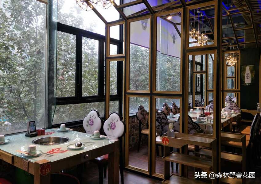 开一家火锅店怎么运营,开一家小火锅店的流程