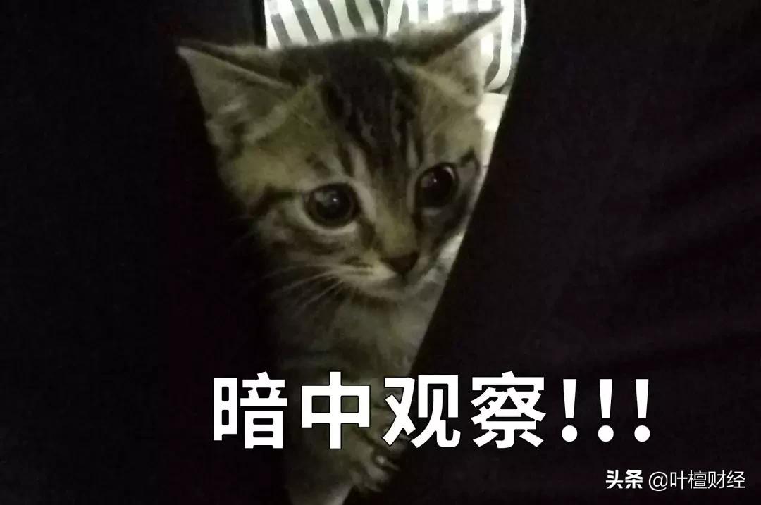 不能错过分析师深刻反思我为什么错过了这家好公司？|檀公司