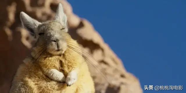 bbc纪录片最值得看的,bbc神级纪录片豆瓣评分超9