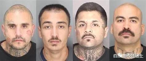 美国拉丁裔帮派,美国白人帮派落寞