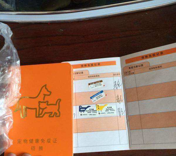 宠物医生在宠物医院看病,宠物医生告诉你该怎么办