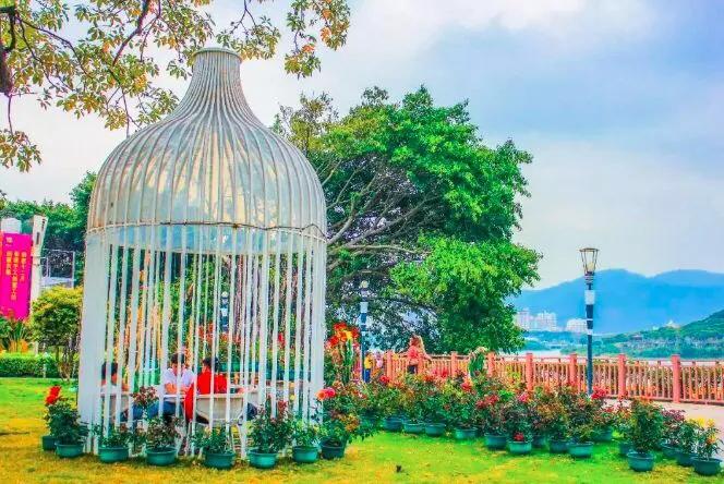 深圳免费公园哪里最好啊,深圳十大免费公园景点大全