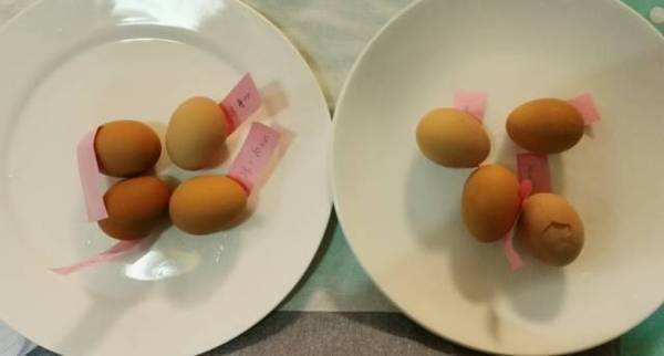 煮鸡蛋少一分钟也不行！教你3个办法，鸡蛋不破皮好剥、味道最好