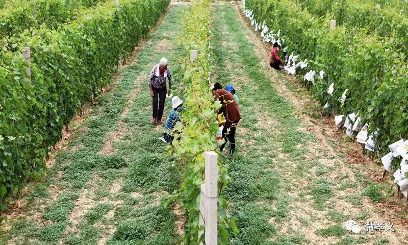 下好先手棋打好主动仗图片,下好先手棋打好主动仗