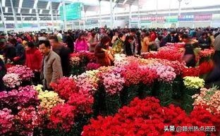 情人节52支玫瑰价格贵吗,情人节史上最贵玫瑰