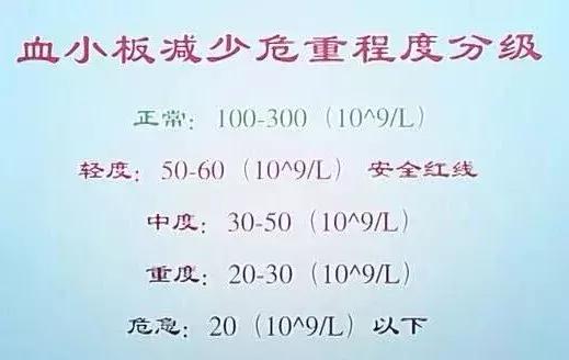 小腿青紫流鼻血,流鼻血身上有斑还有淤青是什么病