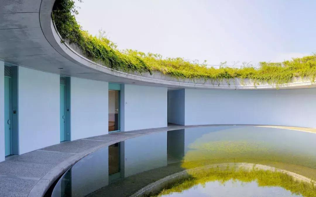 当景观遇上设计,当景观植物遇见灯光