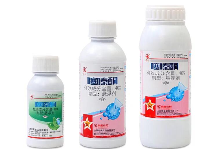 大樱桃树夏天白蚧虫病防治,樱桃树上的桑白蚧怎样消除