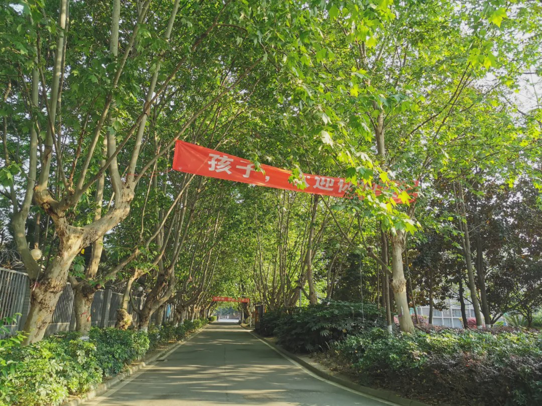 2020-2021怎么读,2021年怎么读中文