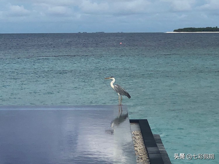 马尔代夫一家人旅行攻略,马尔代夫旅游一家四口跟团