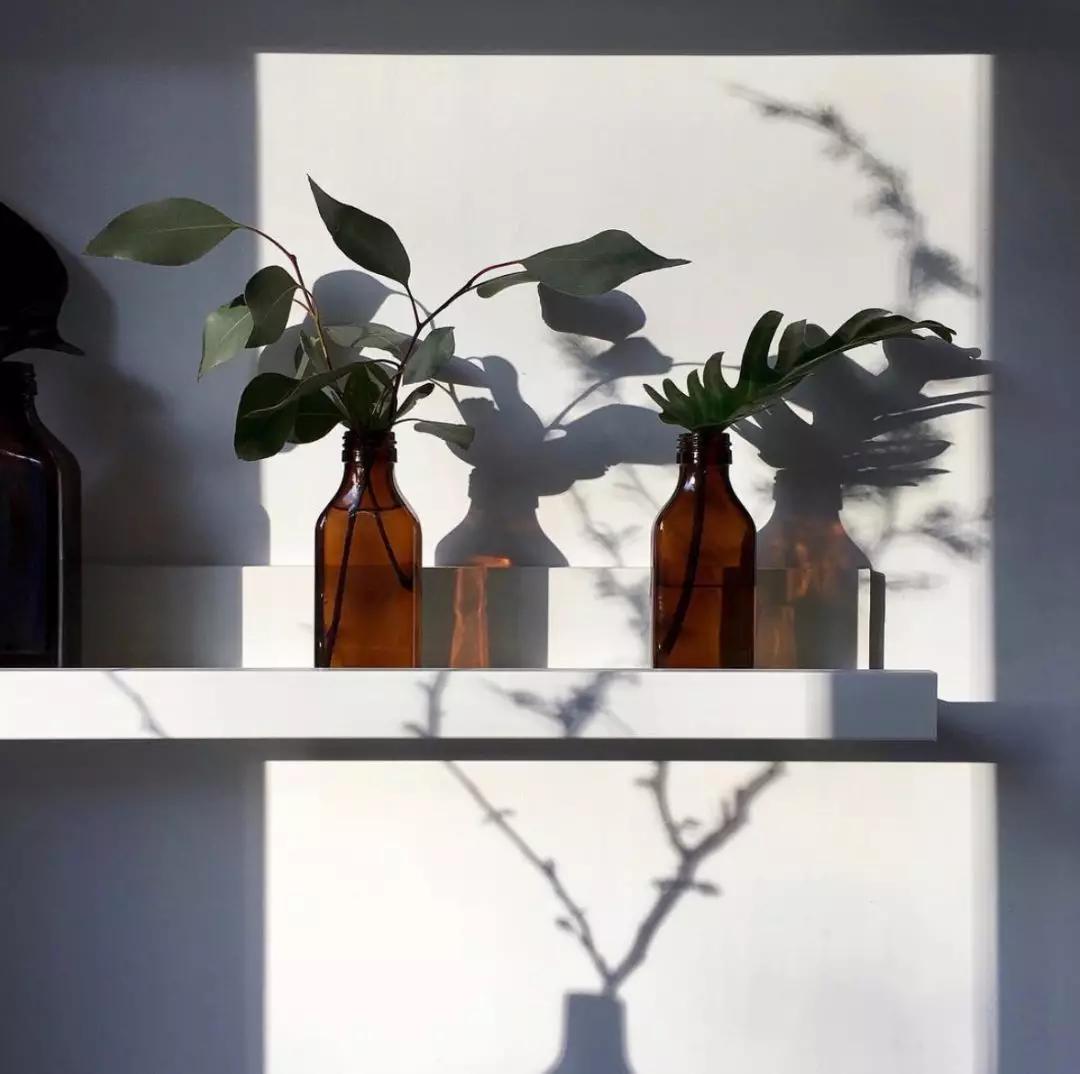 家庭药瓶花瓶插花教程,药瓶子插花