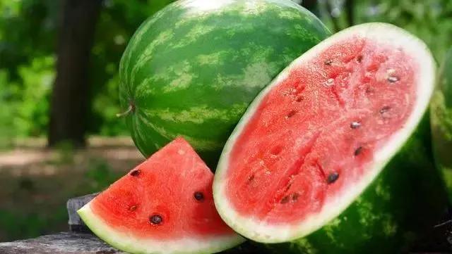 热带水果王国攀枝花,攀枝花一年四季有哪些水果