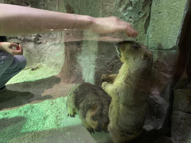 秦淮区东部发展,秦淮区支柱产业