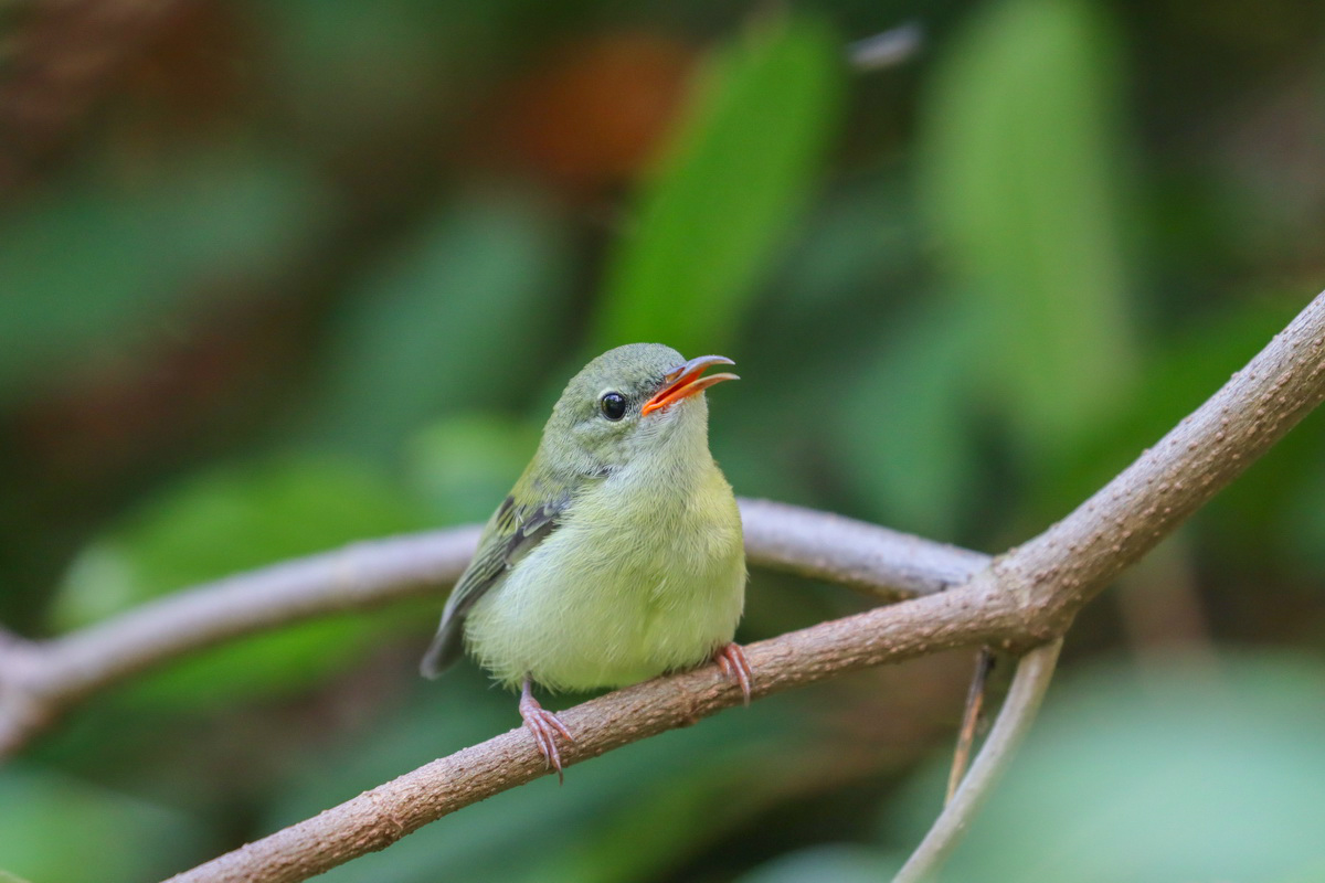 佳能eos90d适合拍产品么,佳能eos90d拍摄效果