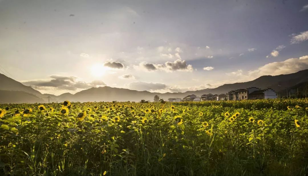 皇家避暑山庄陕西,皇家避暑胜地