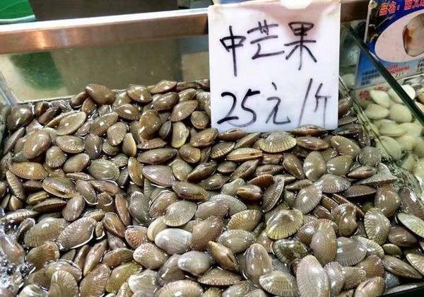 蓝色圣殿不可辜负的美景美食（三亚自由行攻略）