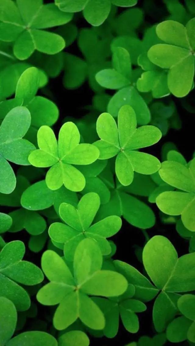 白岩松经典语录感悟人生哲理 (白岩松经典语录集锦好的变成坏的)