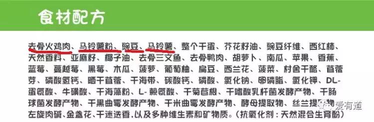 毛孩子偷吃东西被发现,毛孩子吃东西被发现了