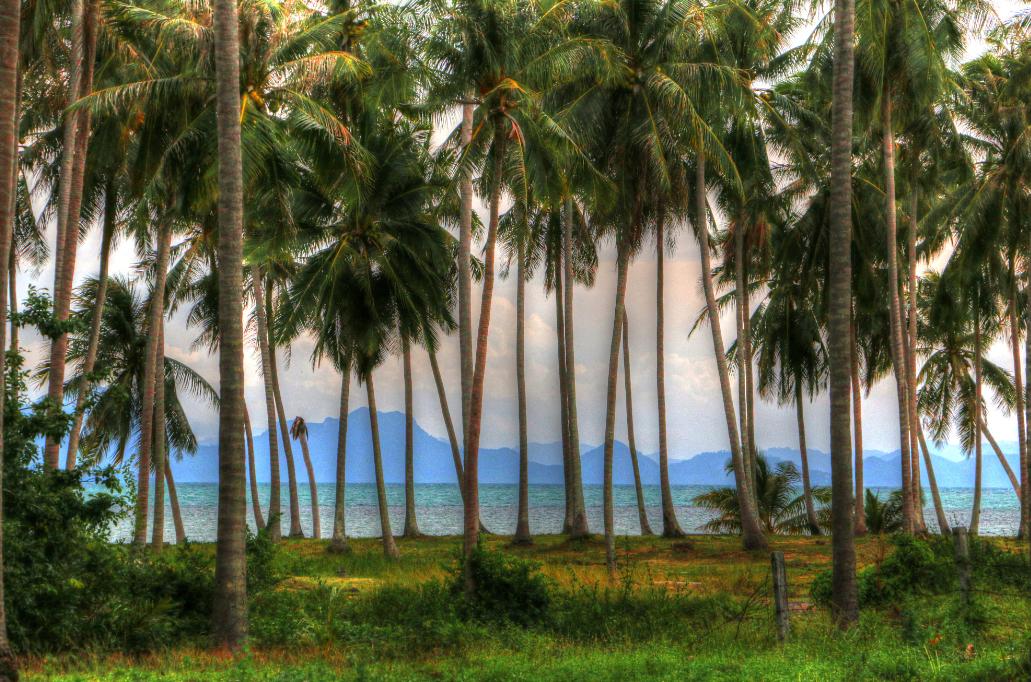 泰国四大潜水梦幻海岛,潜水游玩爱好者普吉岛