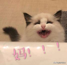 我就是馋猫的身子，没别的！