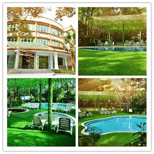 我想去泡温泉,去罗浮山泡温泉有团购吗