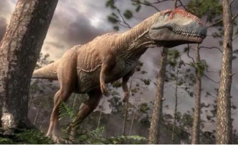 十大肉食性恐龙怎么画,肉食性恐龙视频