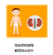 基因检测精准用药国际最高标准,抗抑郁精准用药基因检测报告