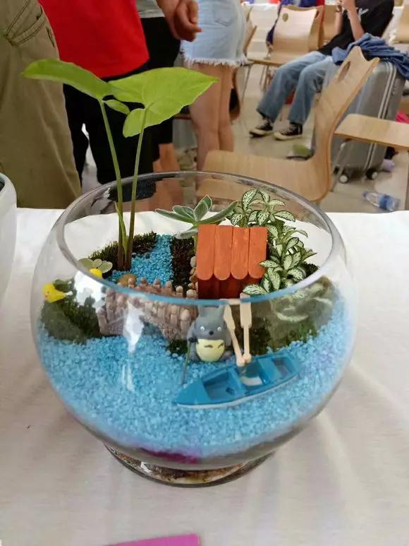 学考热门学校,学考热门专业院校