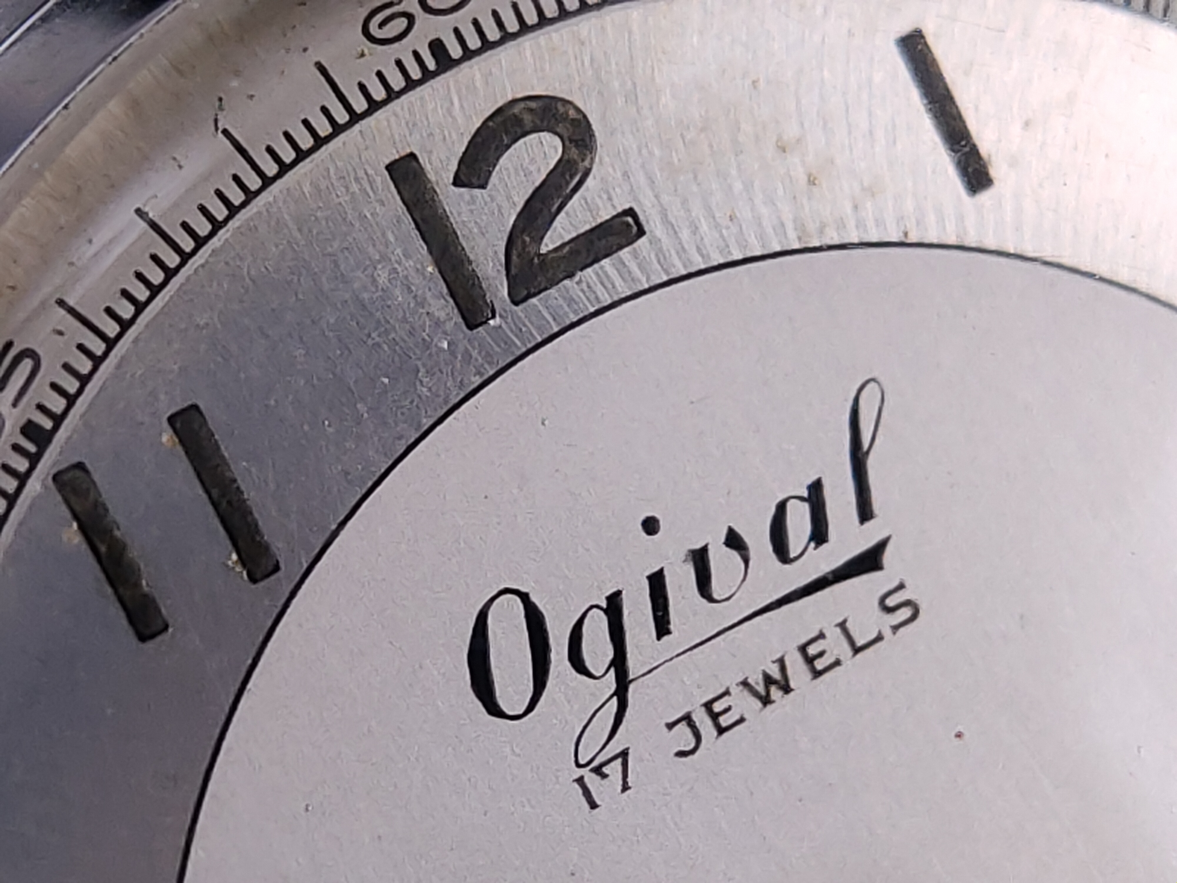 因为一条鱼爱上一个人,因一条鱼丢了一条命