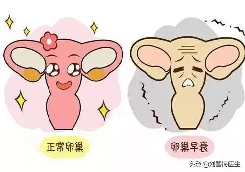 手把手教你看懂性激素六项检查单,怎样看懂性激素六项报告单孕酮