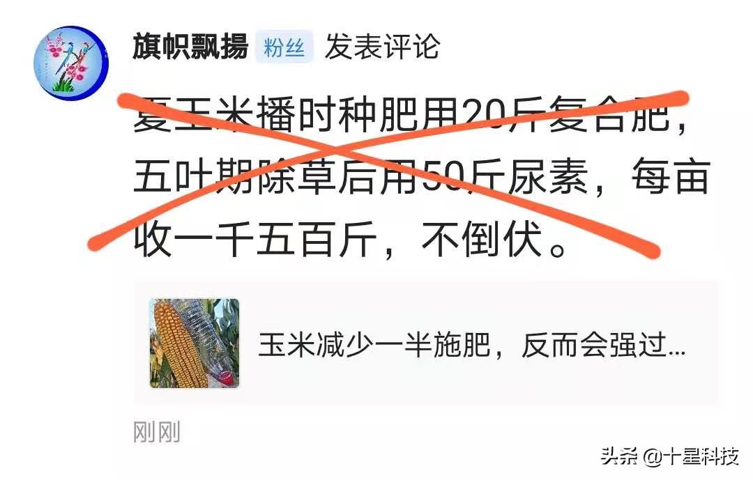 玉米一次性施肥科学吗,玉米怎样施肥科学