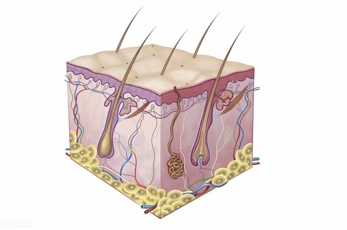 雌激素枯竭会出现哪些问题,雌激素旺盛的女性会有这几个表现