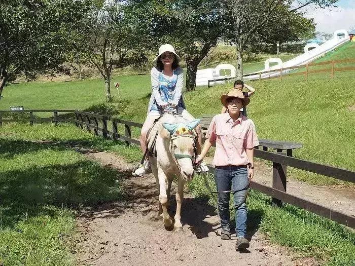 日本农场营收10亿经营秘诀,日本妈妈牧场怎么运营