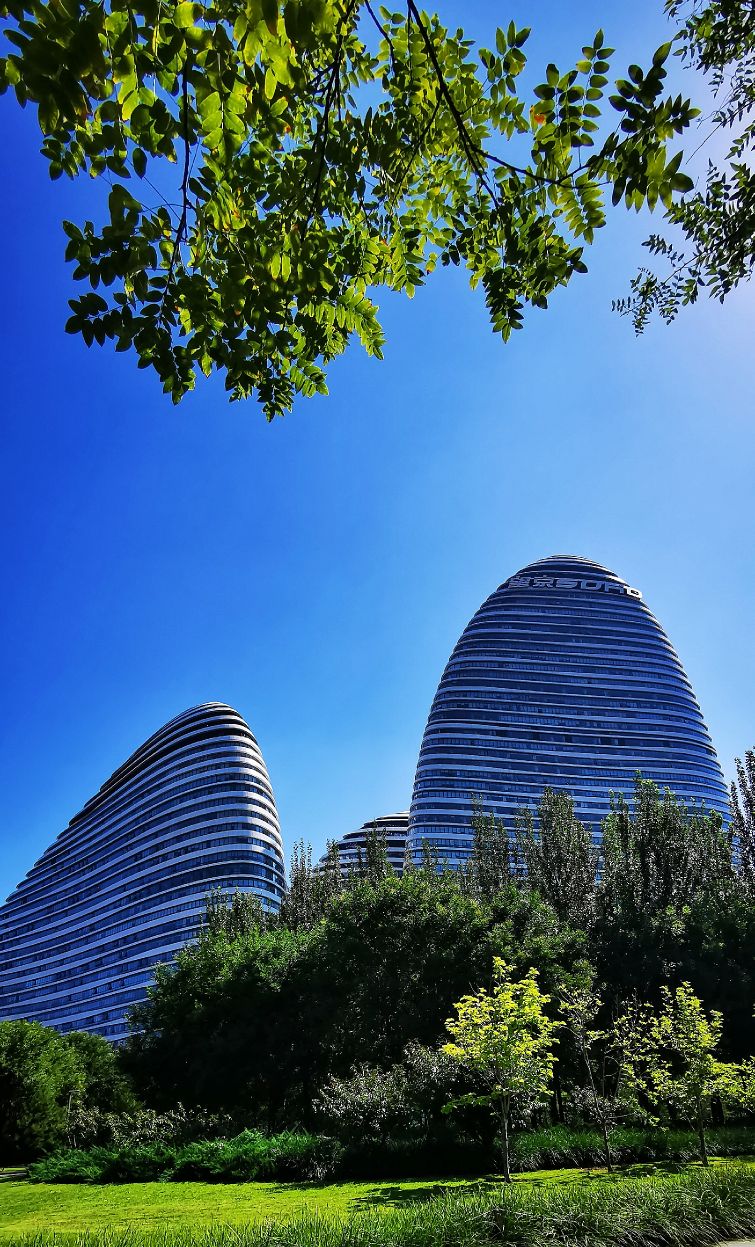 鍖椾含绉樺,鍖椾含绉樺涔嬫梾