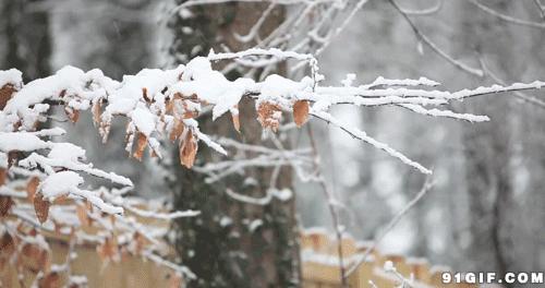 300个出自诗经的好成语,诗经100个经典成语