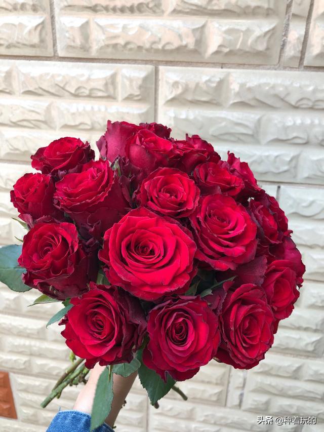 七夕礼物送什么好,七夕礼物送什么推荐