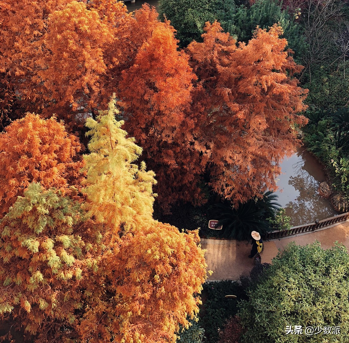 iPad是「无用的玩具」？用了一年，它为我打开了另一个世界