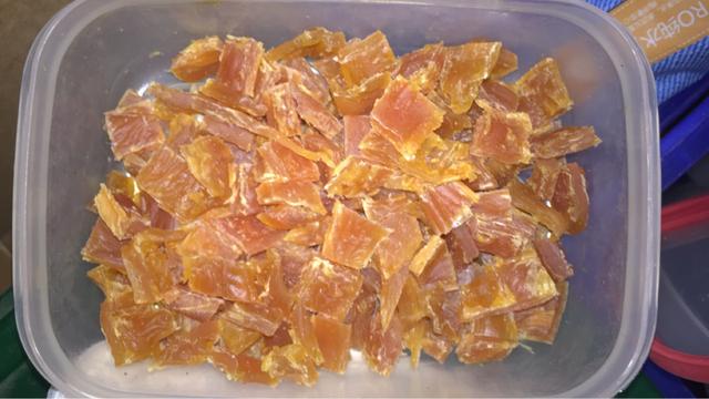 法国斗牛犬怎么训练随叫随到,法国斗牛犬训练大小便规律