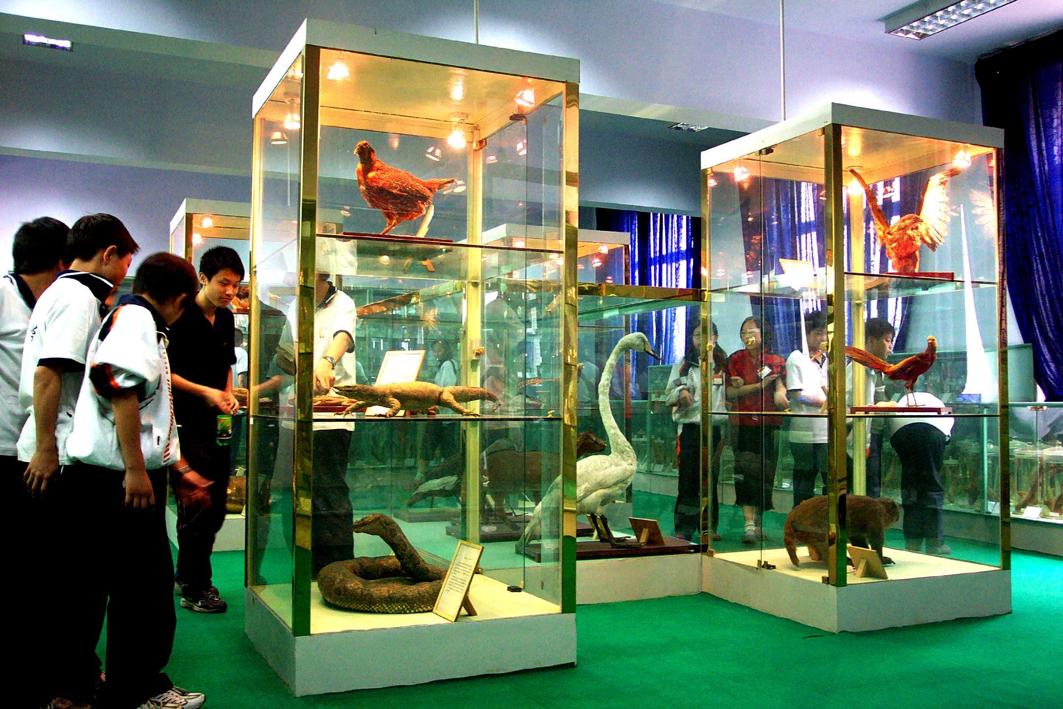 颜值比较高的大学,颜值最高的学校