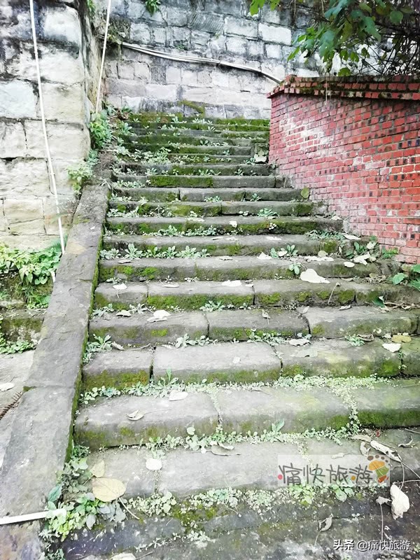 自贡桃花山学校,2014年自贡市桃花山学校