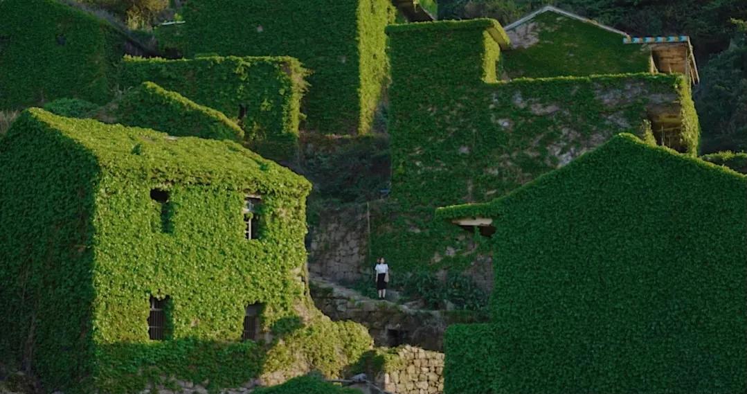 舟山吃住玩最全攻略,带你玩转舟山