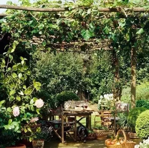 花园怎么布局才会有层次感,露台花园如何分休闲区和种花区