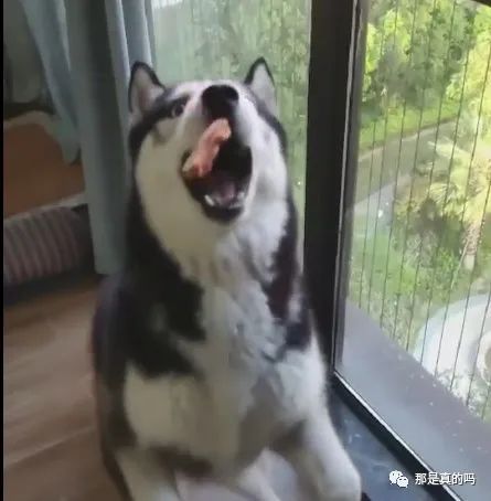 你以为的抄底和真实的抄底原油,原油股票可以抄底了吗