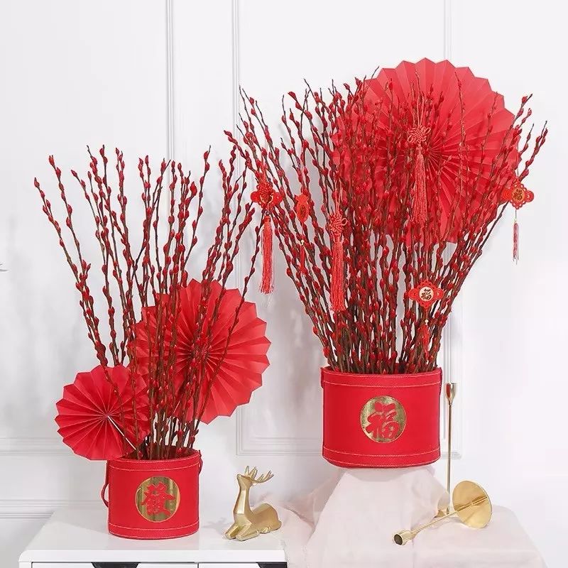 什么花喜庆又好养又好看,家养最旺财的十种花推荐