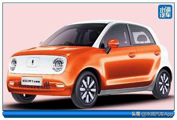 突然伪潮流的欧拉,能成为一只好猫么?