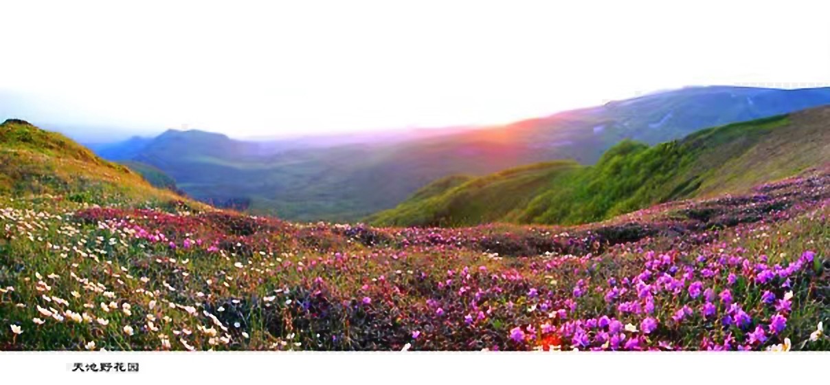 学英语有用吗视频,学英语最好用的app