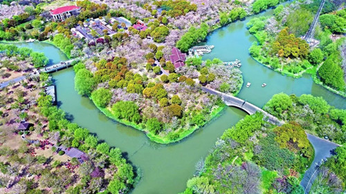 上海这个公园竟也藏着唐风古韵,上海公园风景