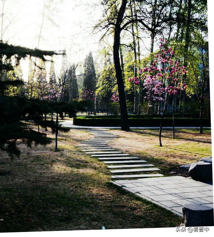 山西农大美丽的校园,山西农大校园风光