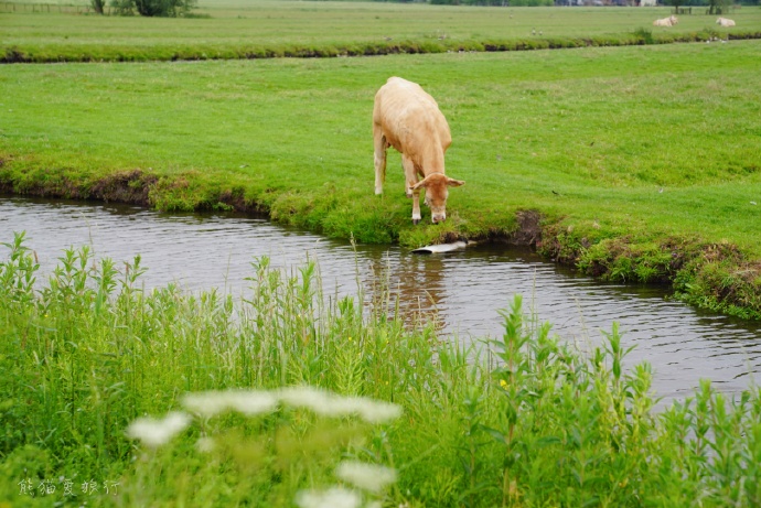 10日荷兰自由行攻略3，在自由包容的国度里浪漫放飞自我
